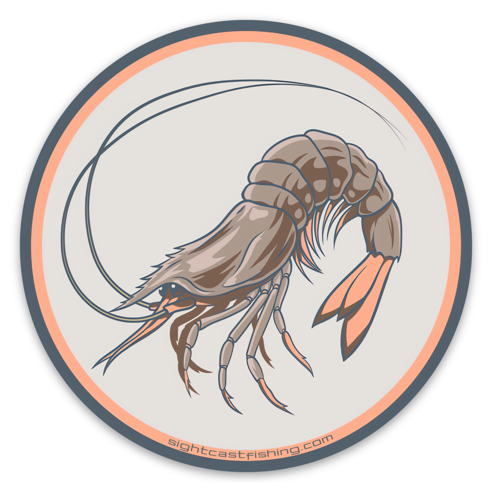 Gulf Shrimp Fly Fishing Decal.png