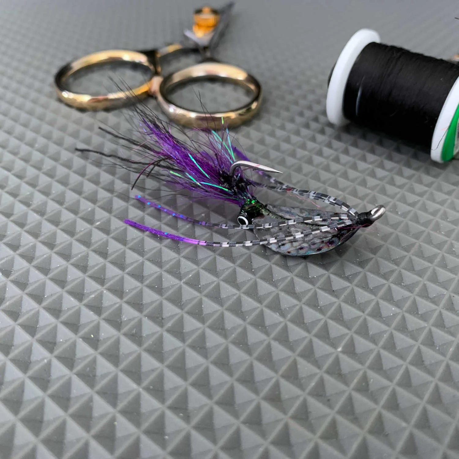 Shrimpadillo V1 Purple Black 1500 .JPG