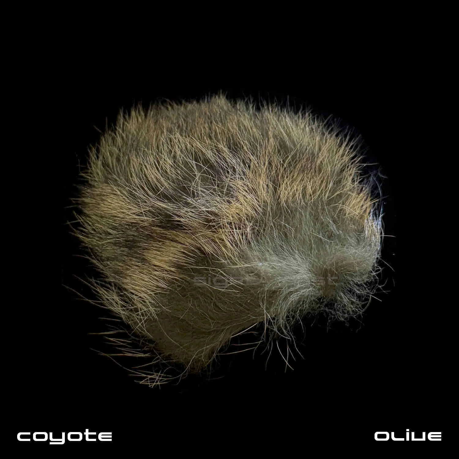 Fly Tying Material Coyote Fur - Olive