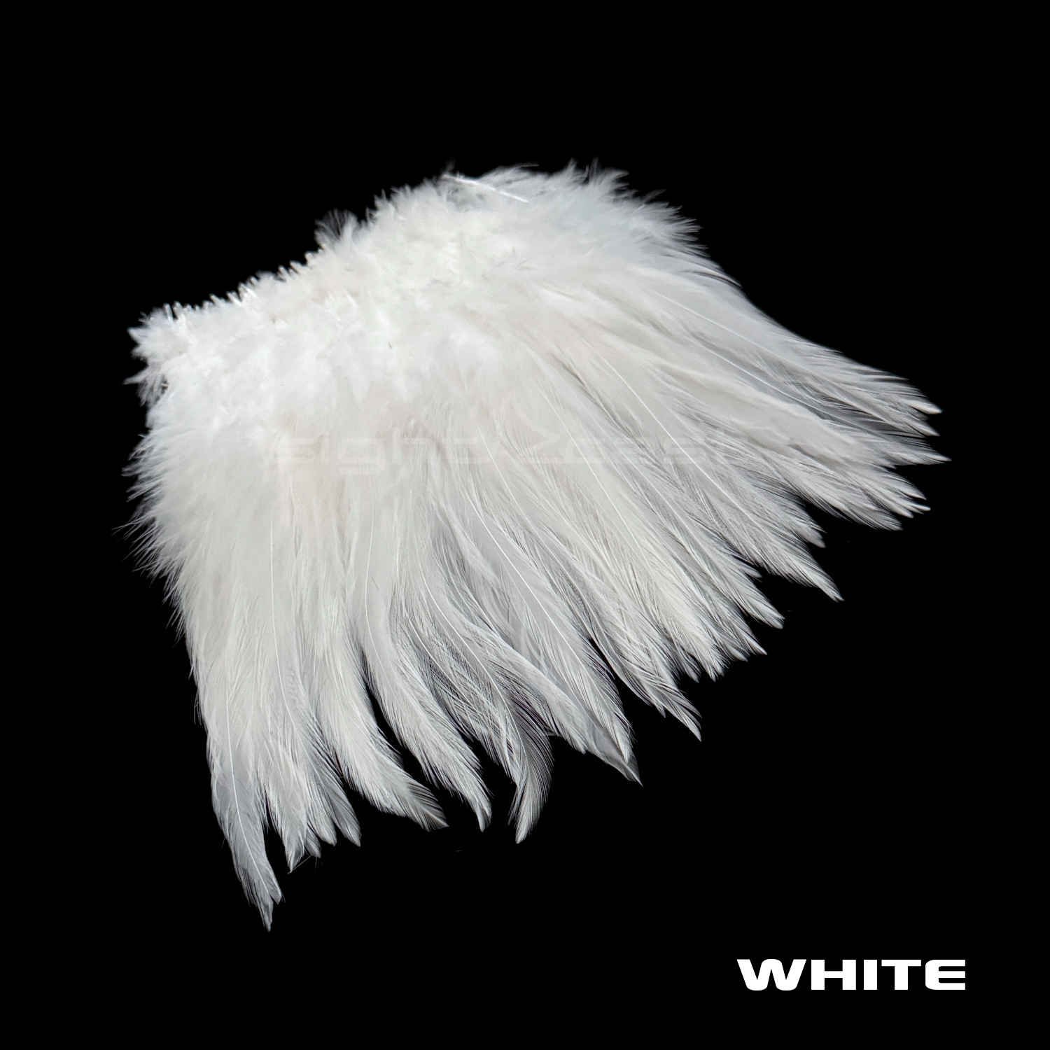 Premium Strung Saddle Hacke - Fly Tying Materials - White.JPG