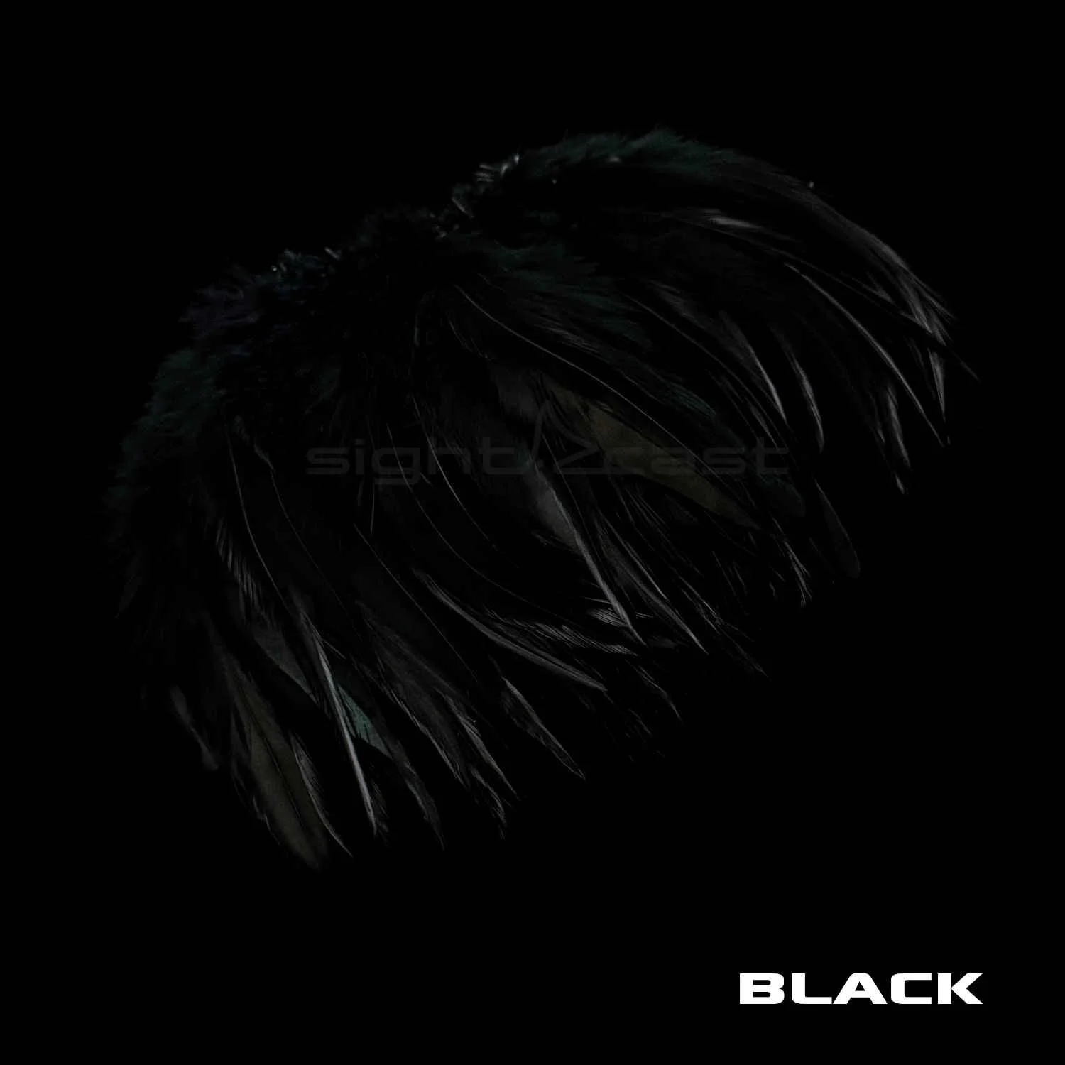 Premium Strung Saddle Hacke - Fly Tying Materials - Black.JPG