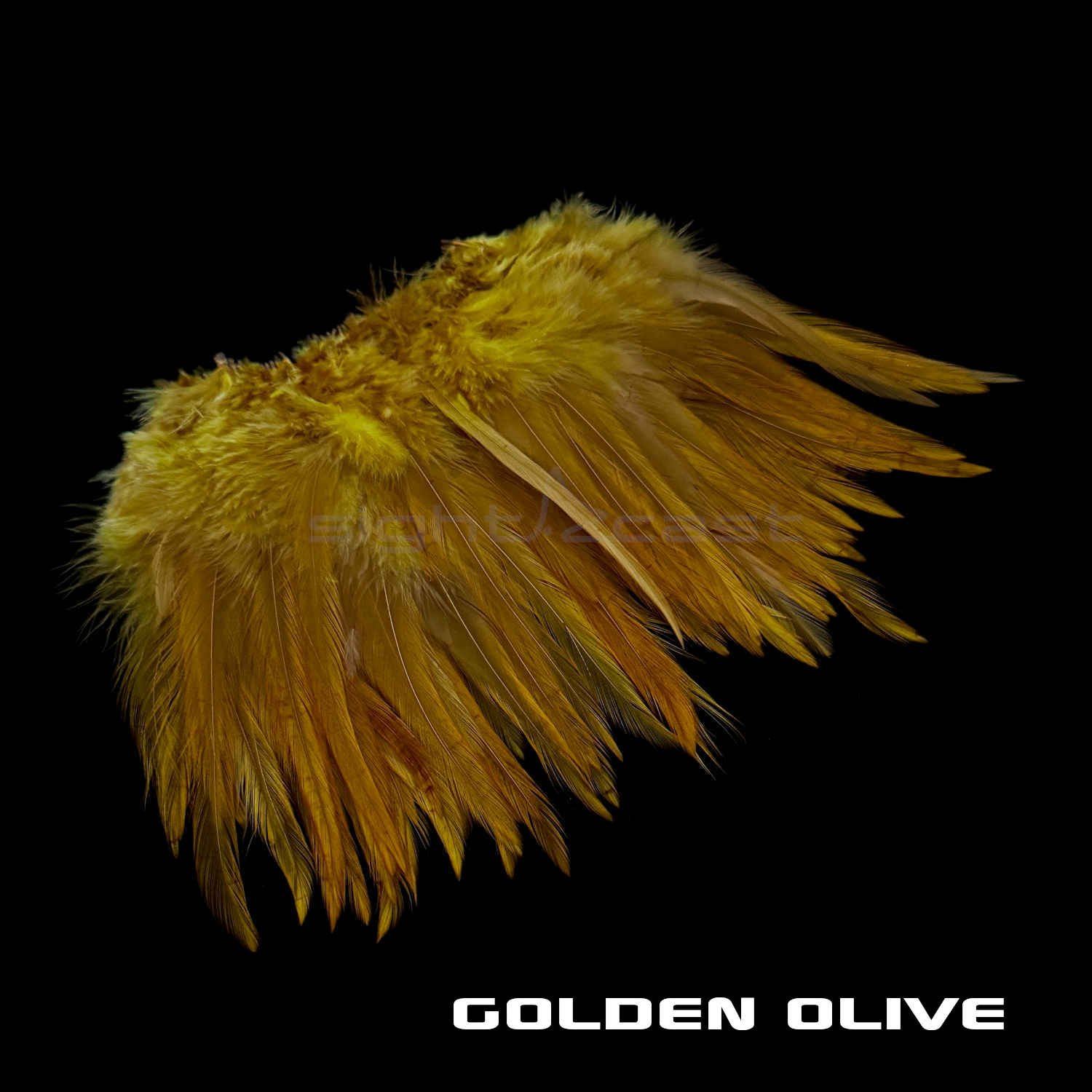 Premium Strung Saddle Hacke - Fly Tying Materials - Golden Olive.JPG