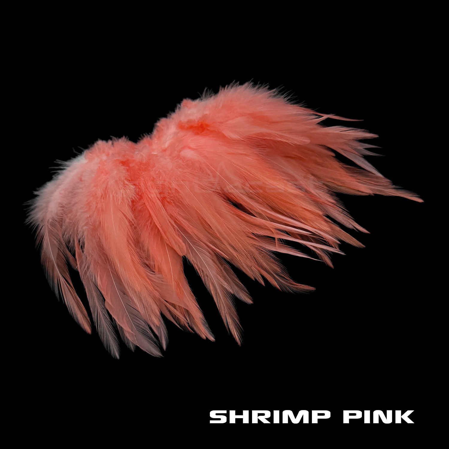 Premium Strung Saddle Hacke - Fly Tying Materials - Shrimp Pink.JPG