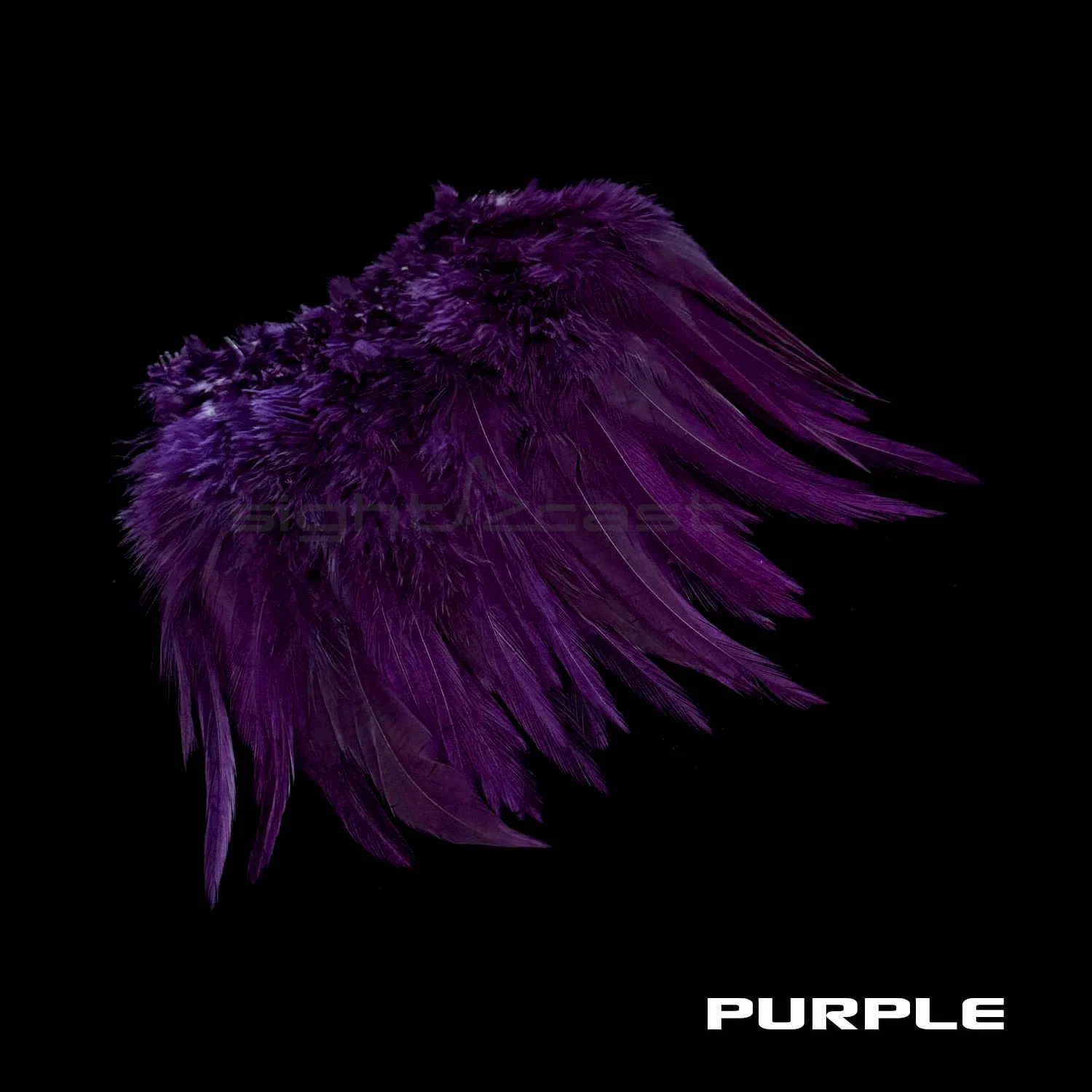 Premium Strung Saddle Hacke - Fly Tying Materials - Purple.JPG