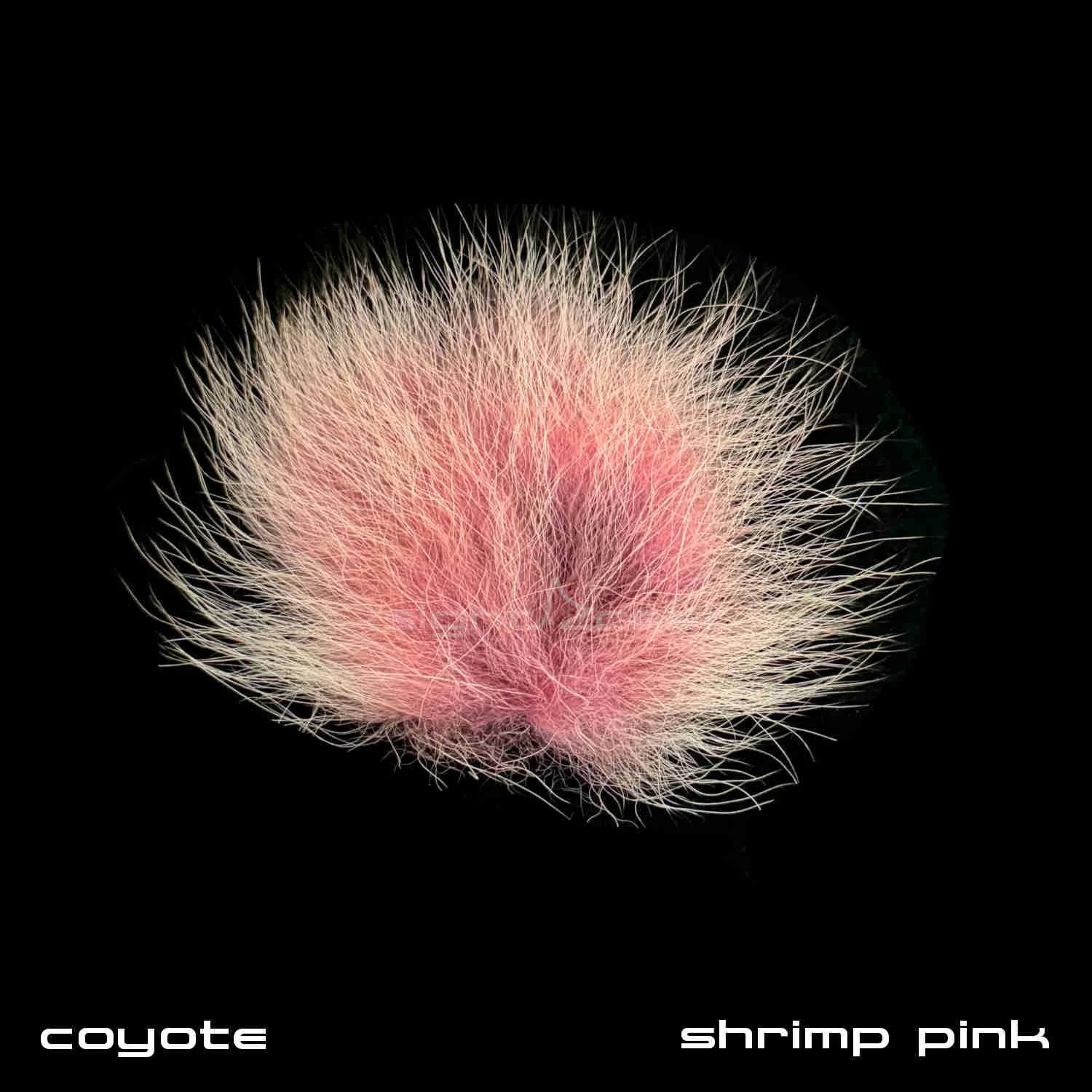 Fly Tying Material Coyote Fur - Shrimp Pink