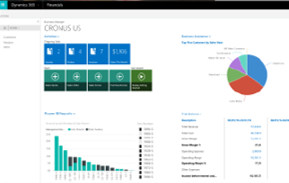 Association Financial Management, Dynamics ERP