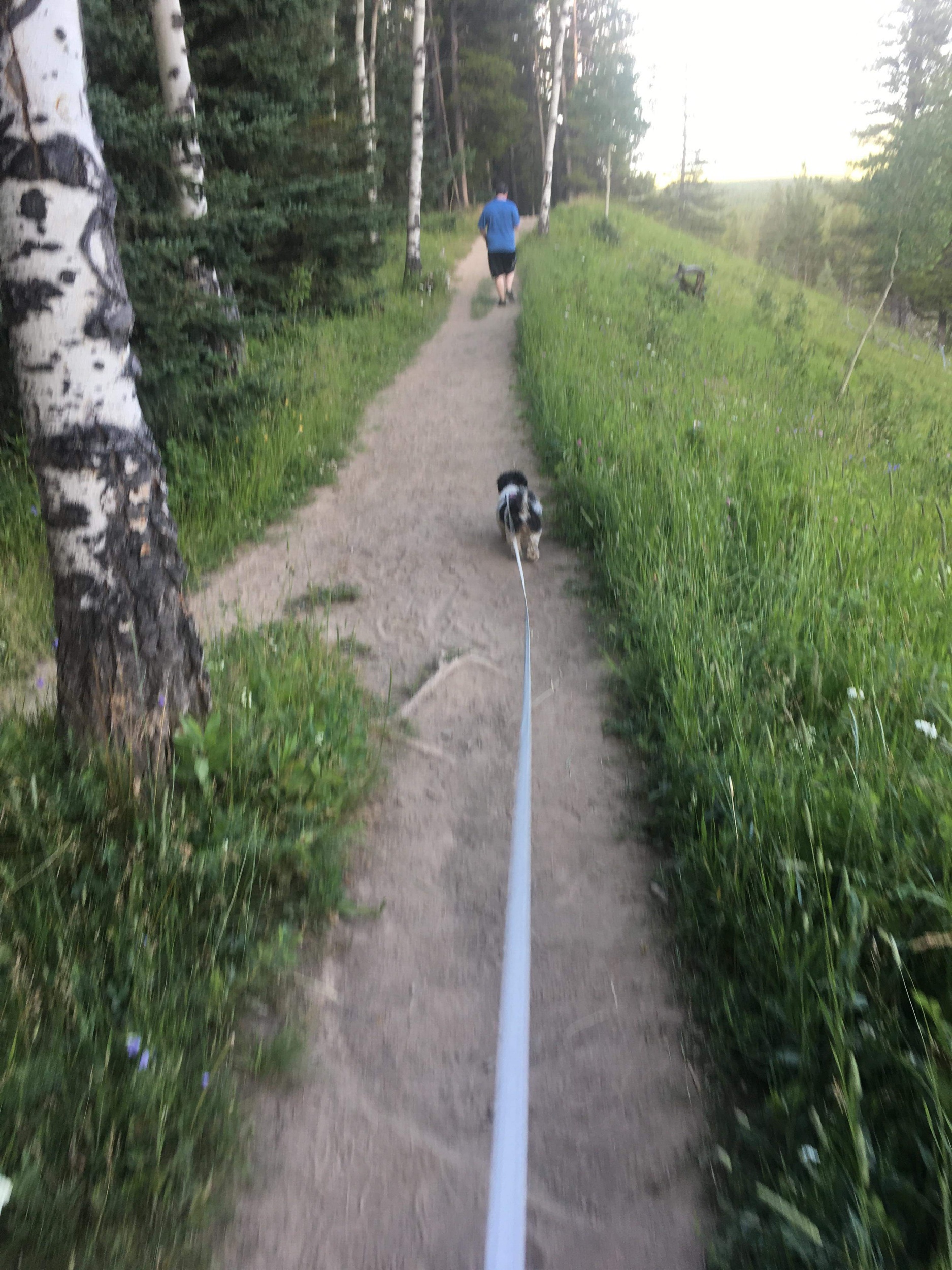 processed_received_343252419921139.jpeg