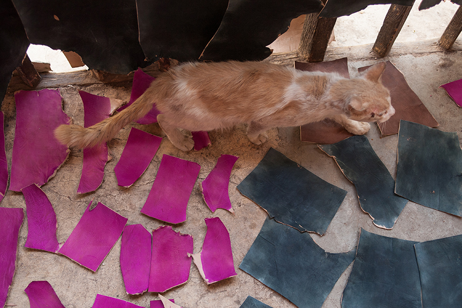Marrakech (18 of 71).jpg