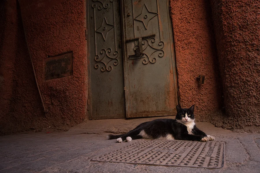 Marrakech (45 of 71).jpg
