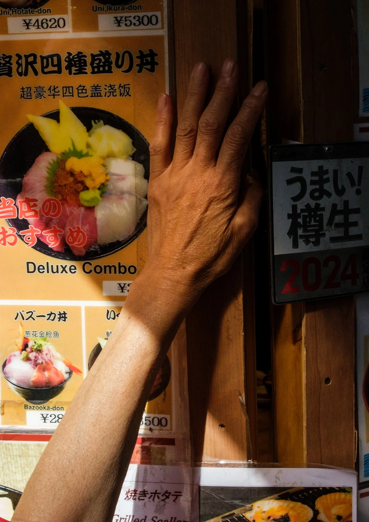 Japan Hand copy.jpg