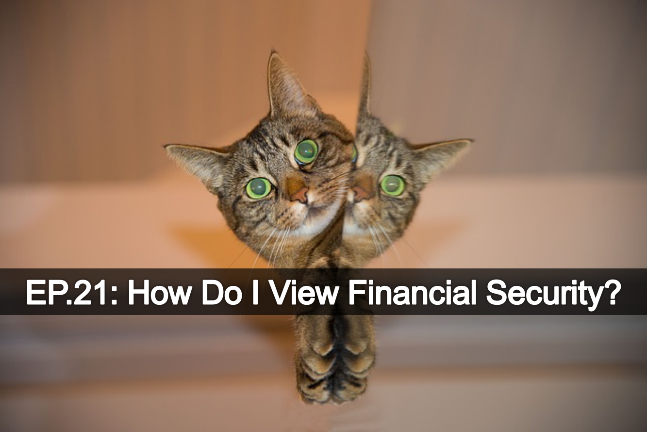 Ep.21 - What Defines Financial Security