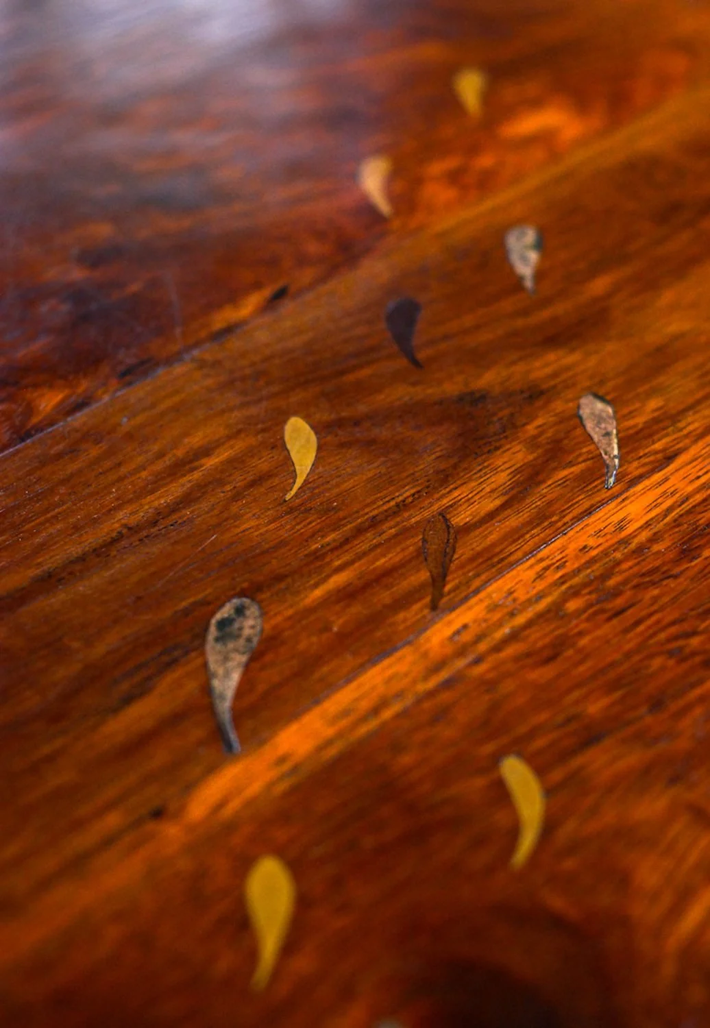 Dirk Romeyn - detail of fish inlays copper, red cedar and huon pine