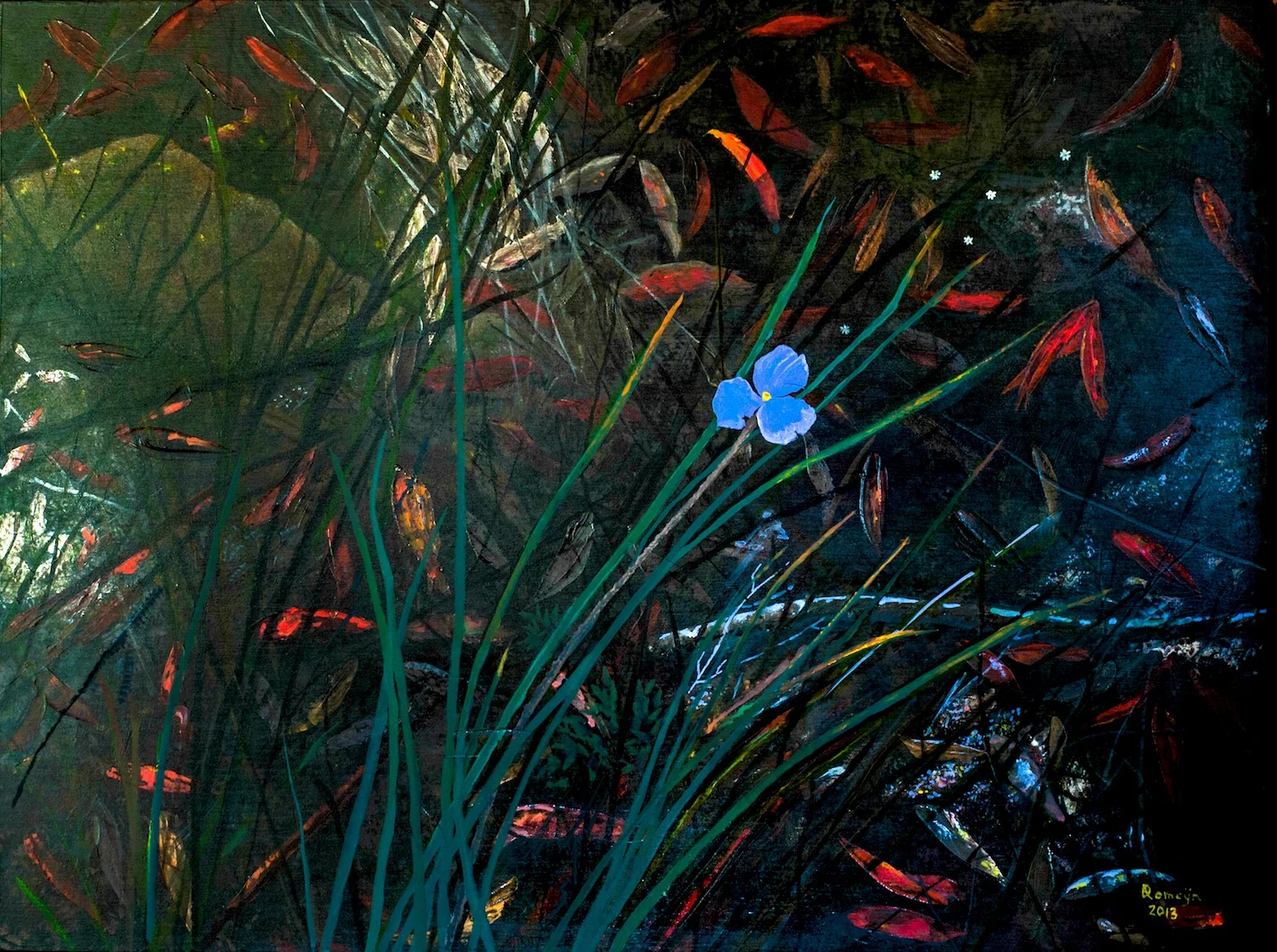 Dirk Romeyn - Out of the Shadows