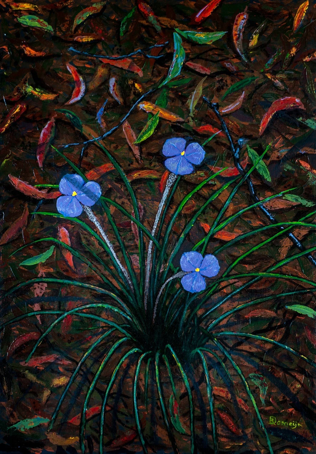 Dirk Romeyn - Wild Iris