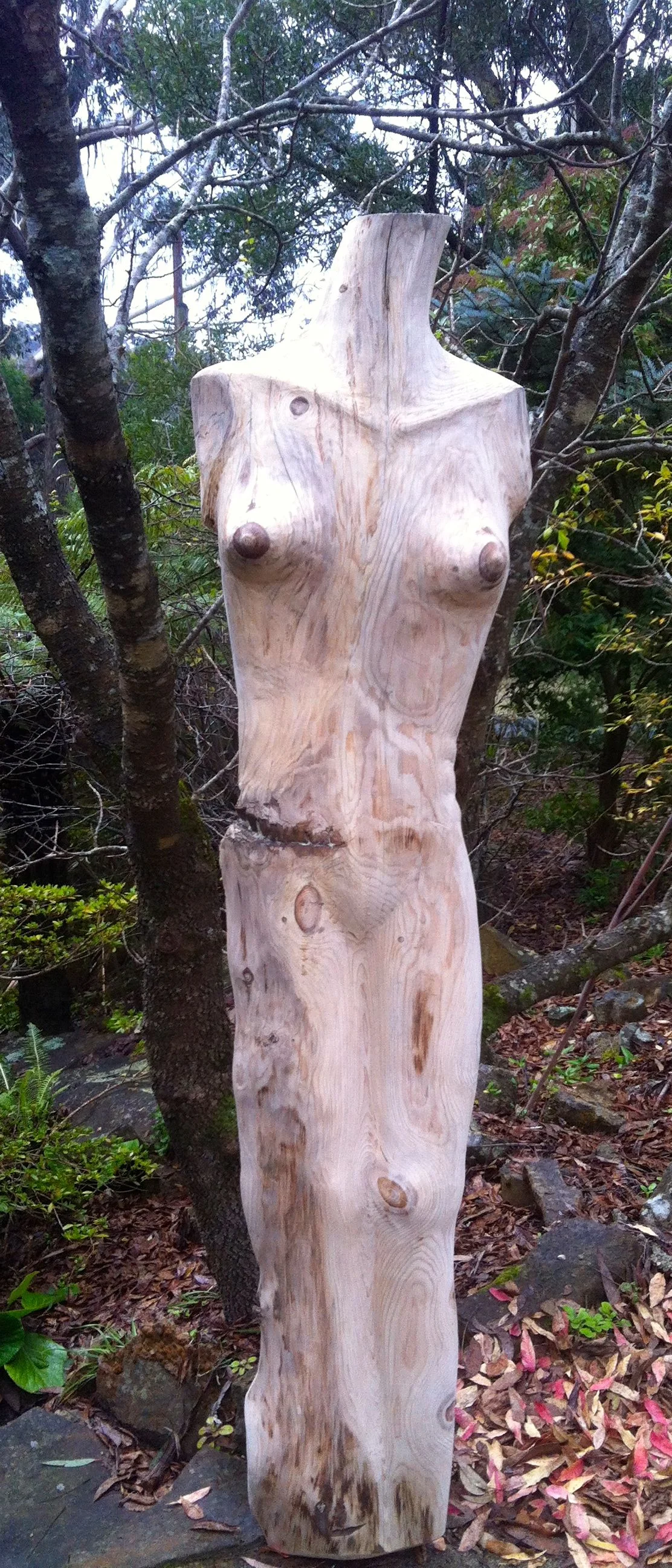 Dirk Romeyn - Lady of the Wood