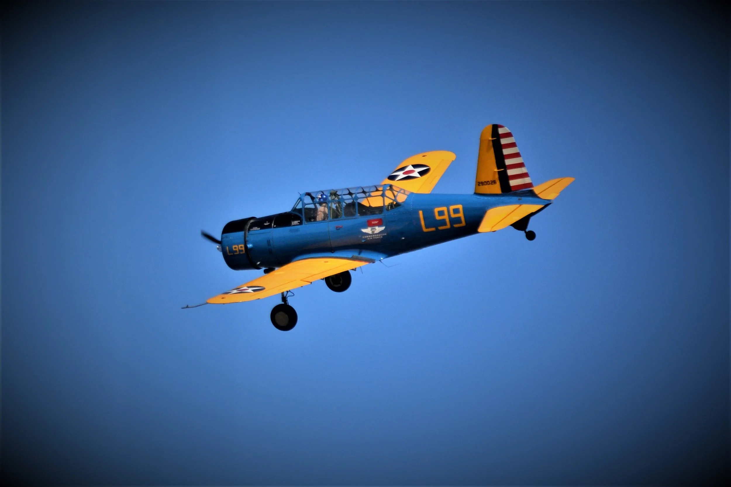 DSC_0065_cropped.jpg