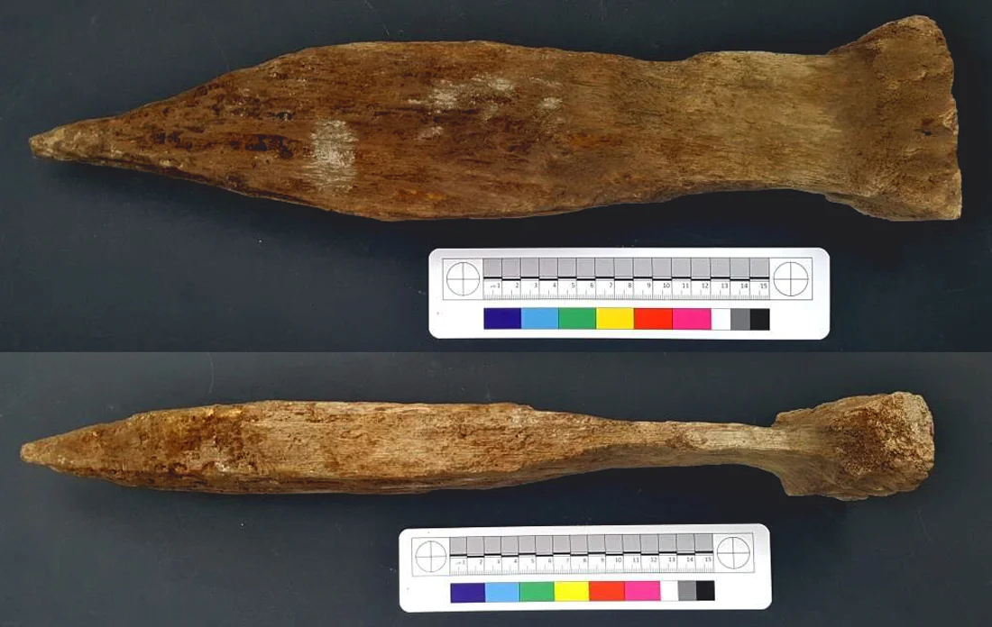 Wooden stake measuring 450mm high discovered near CPO