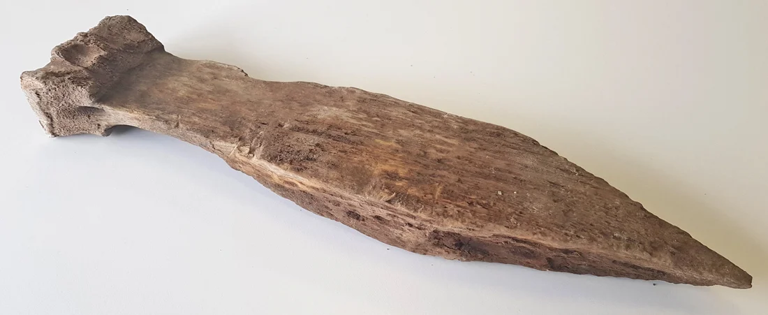 Wooden stake discovered during excavations around CPO