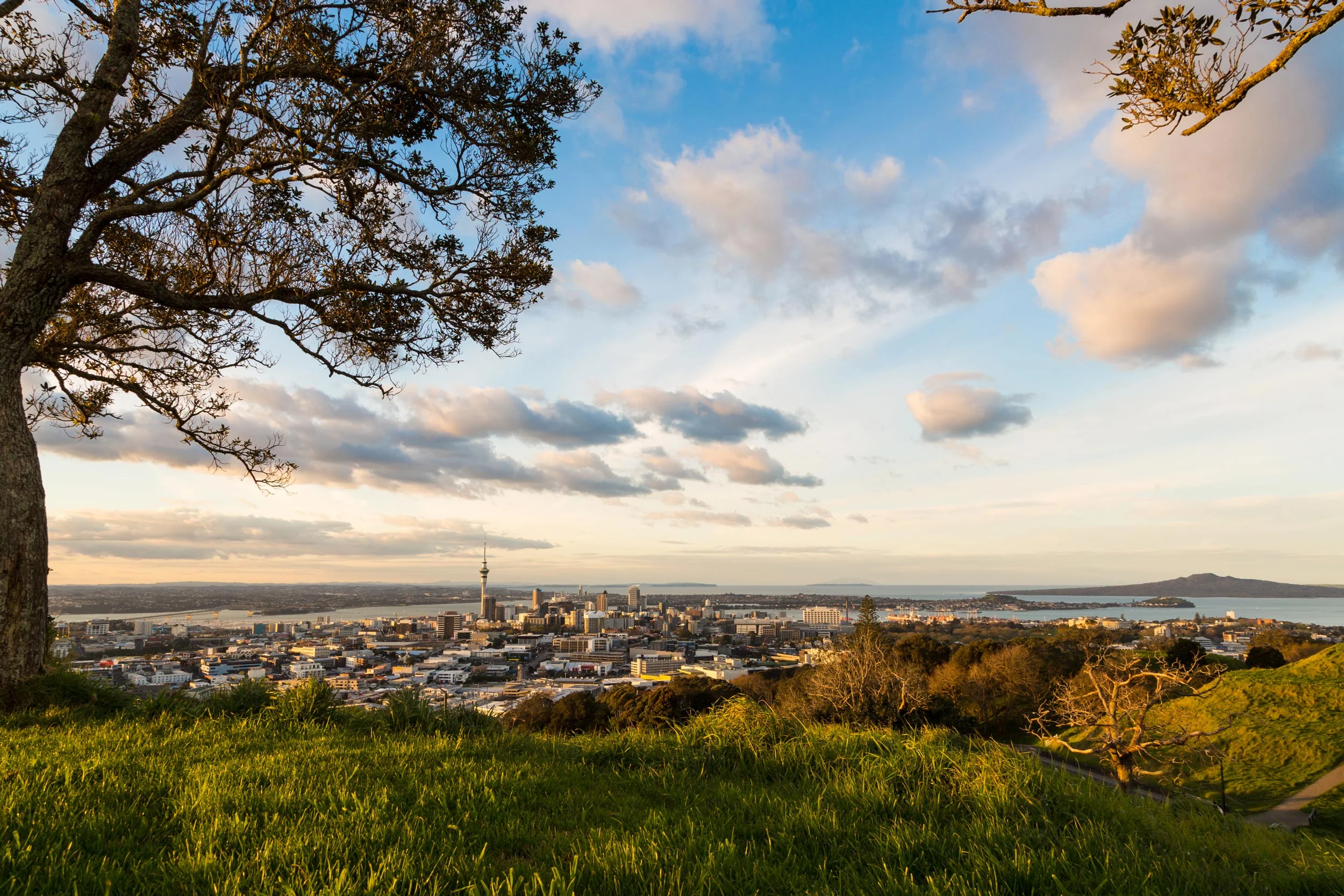 Auckland-City-iStock_27437623_WEB.jpg
