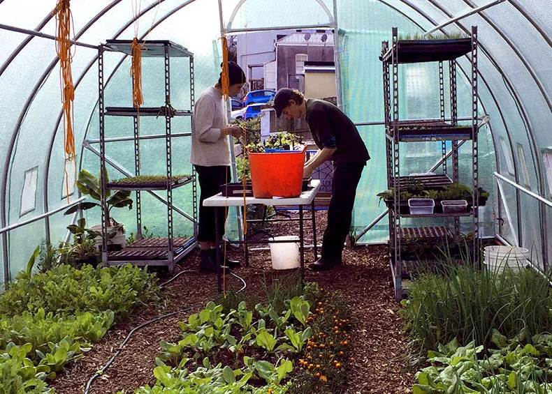 From carrots to climate change, the inner-city garden with a cause