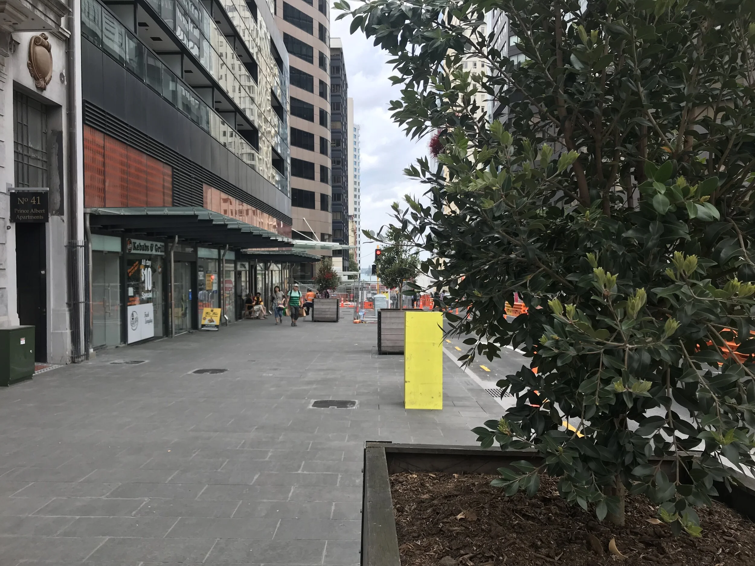 trees Albert Nov 2019 (003).jpg