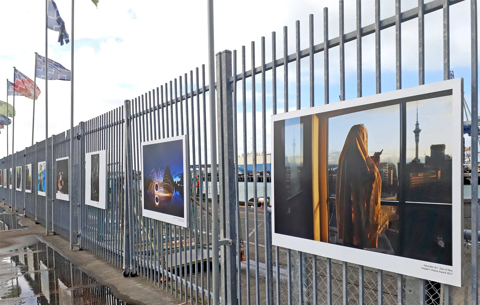 Previous year's AFP exhibitions