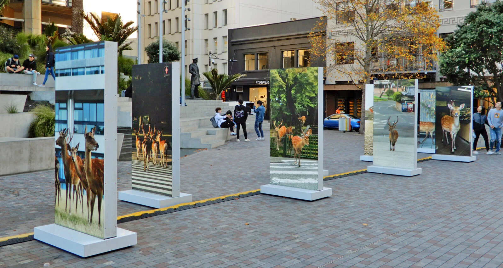 Previous year's AFP exhibitions