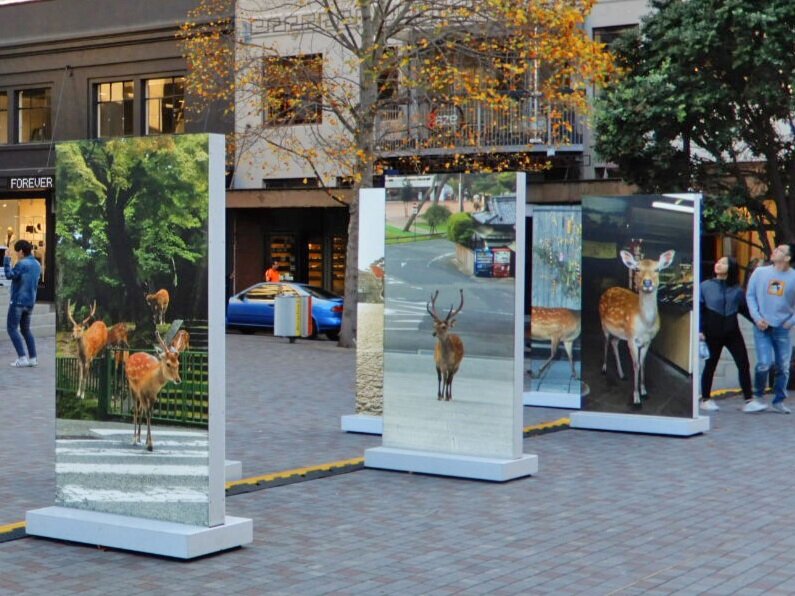 CRL supports Auckland Photography Festival