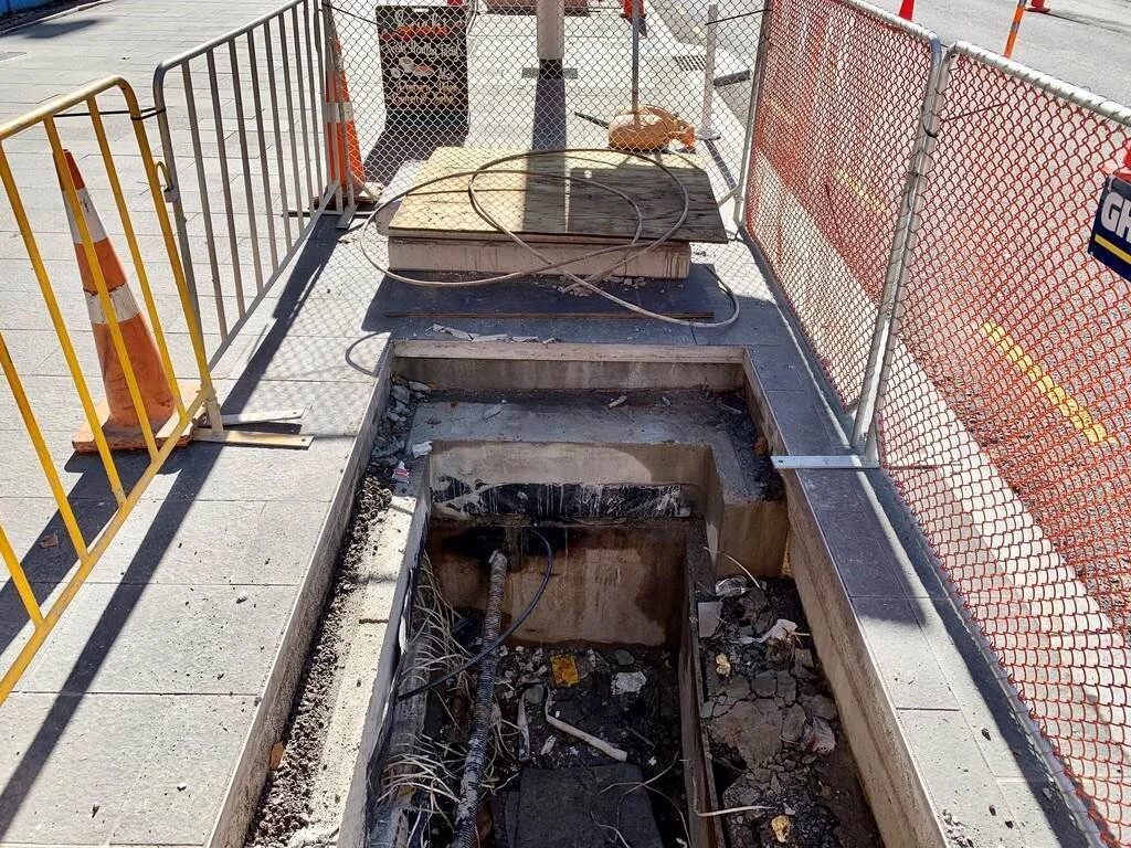  Tree pits Lower Albert St June 2020 