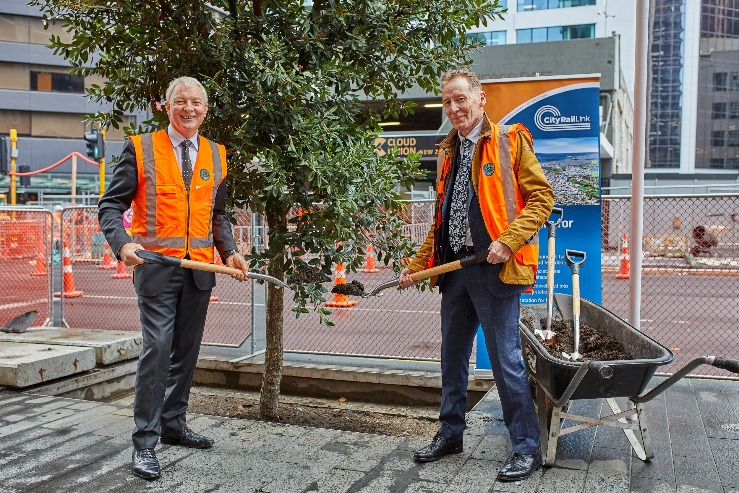  Albert St tree planting starts June 2020 