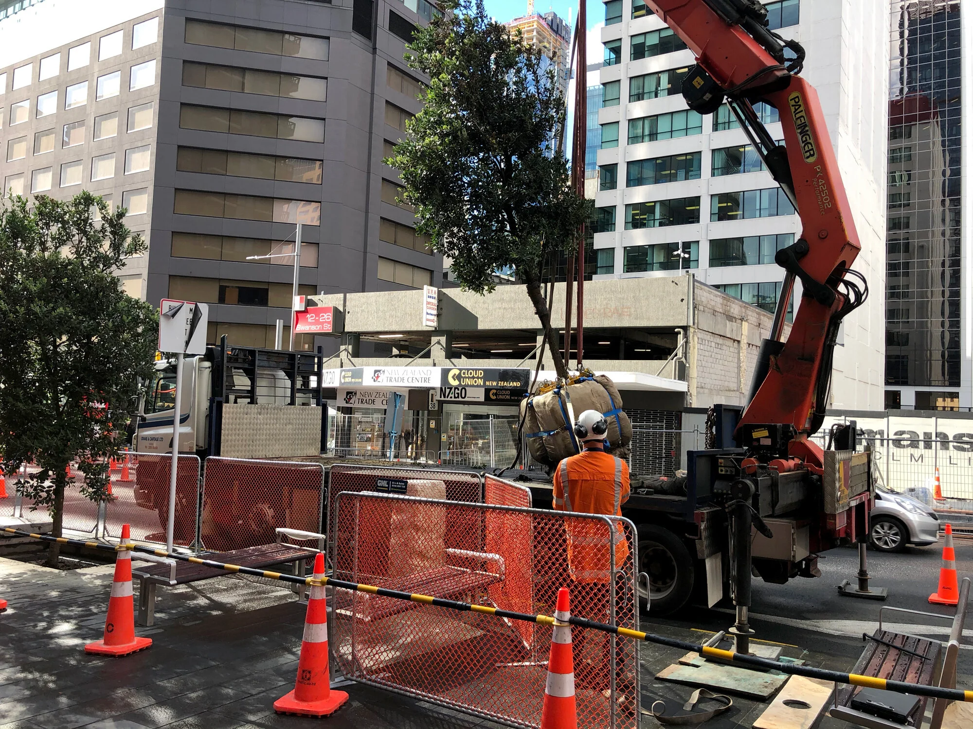  Albert St tree planting June 2020 