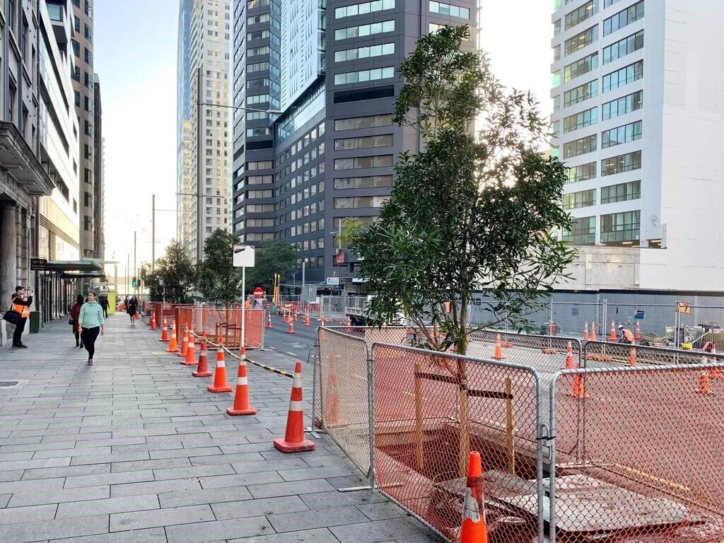  How Albert St is looking June 2020 