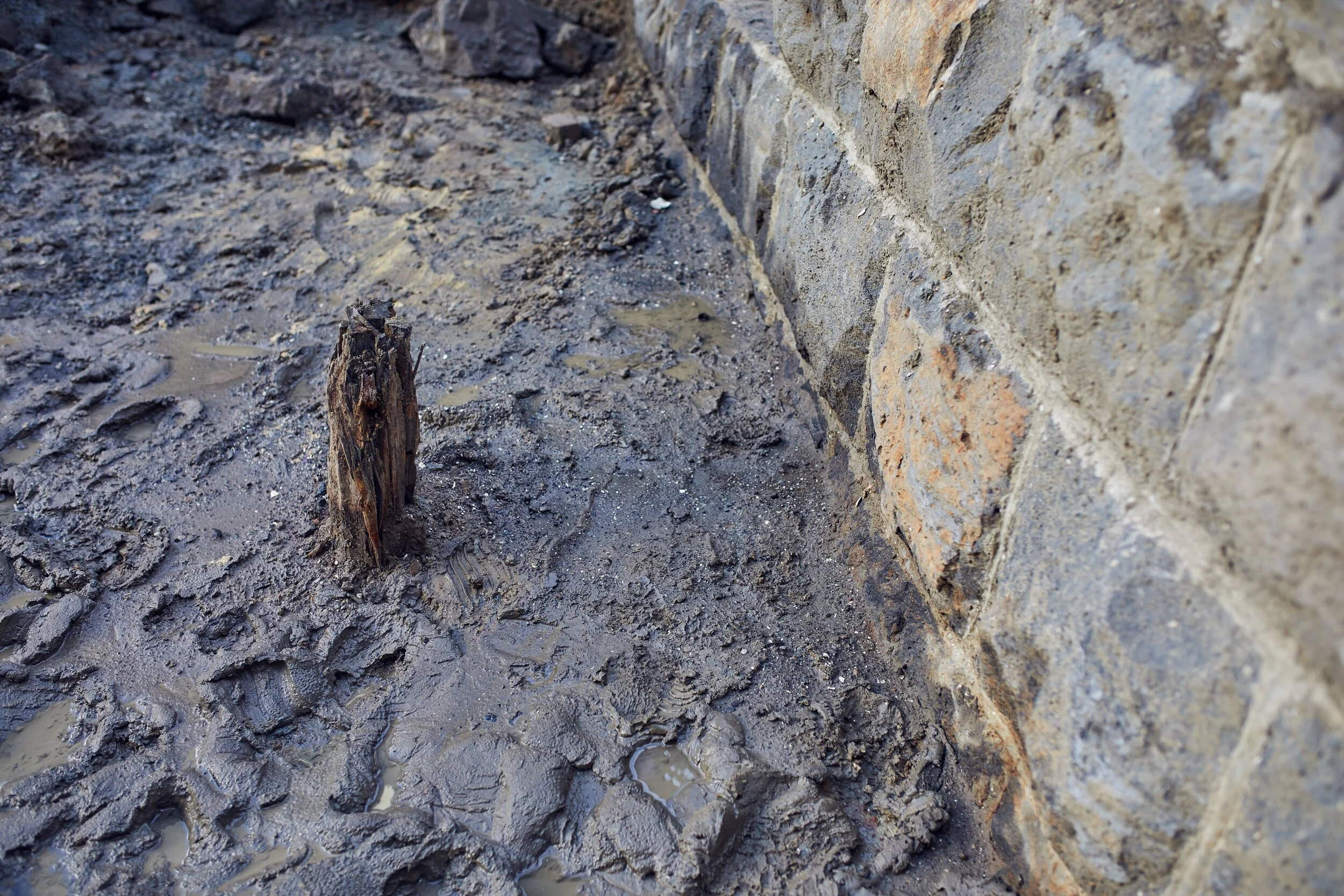  In May 2020, during  excavations in Lower Queen Street, our contractors  Downer NZ Soletanche Bachy started uncovering the old Customs Street seawall that dates back to circa 1860s. 