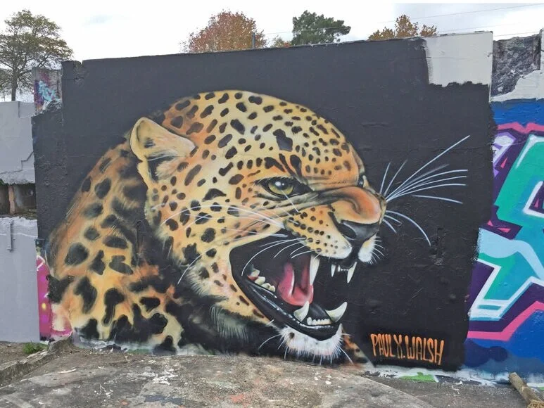 More colour for Karangahape 