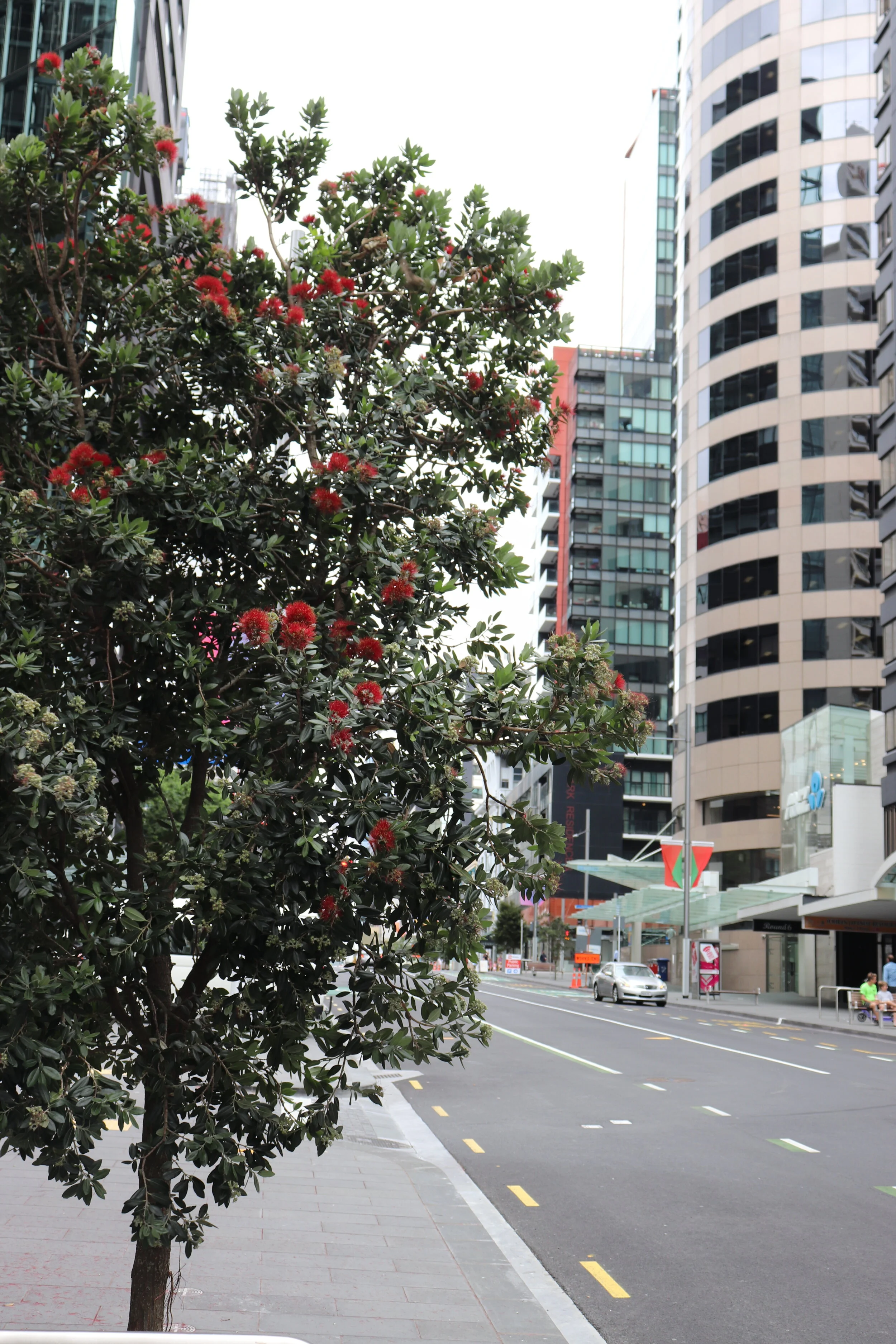 Credit: Howell Davies