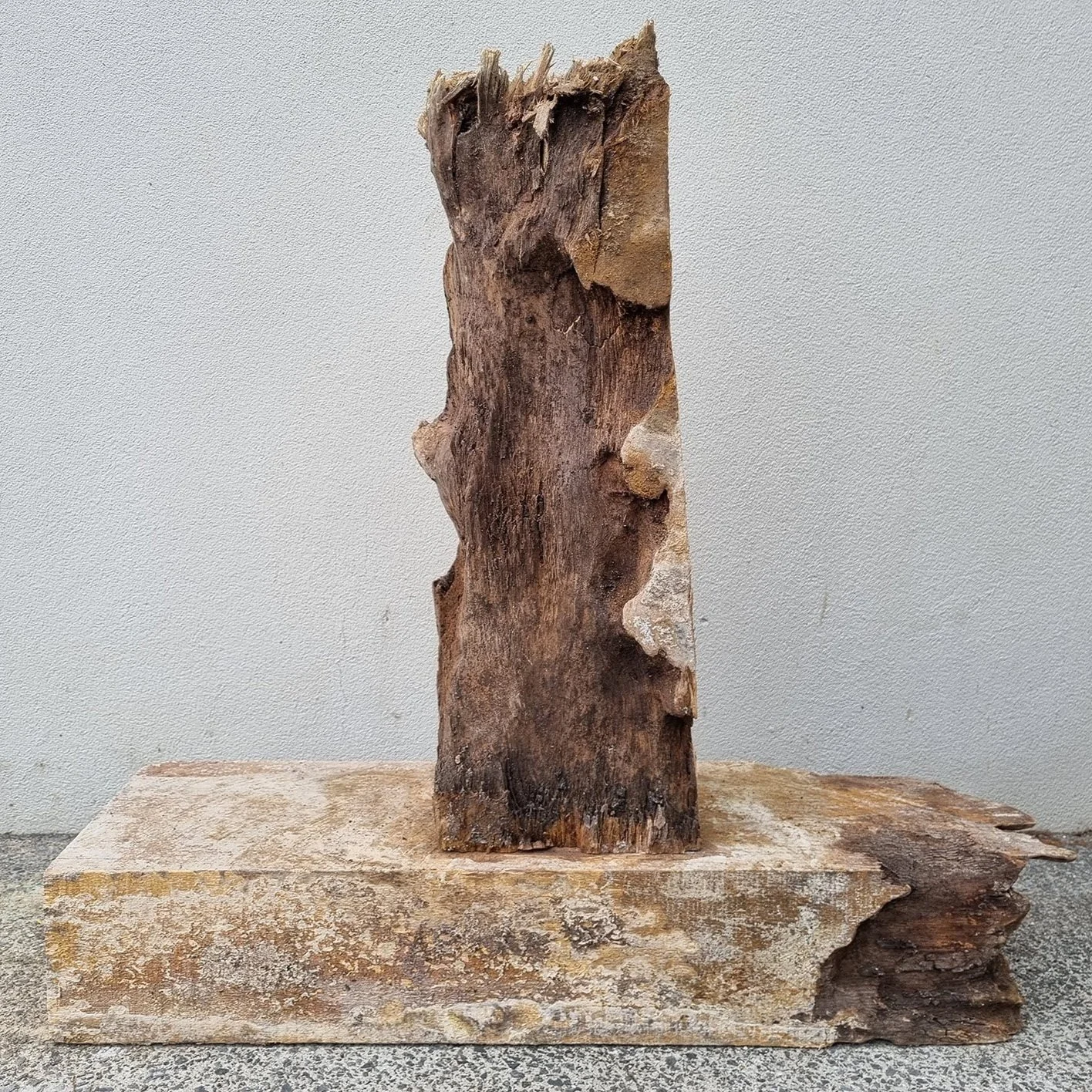 150-Year-Old Secret Unearthed