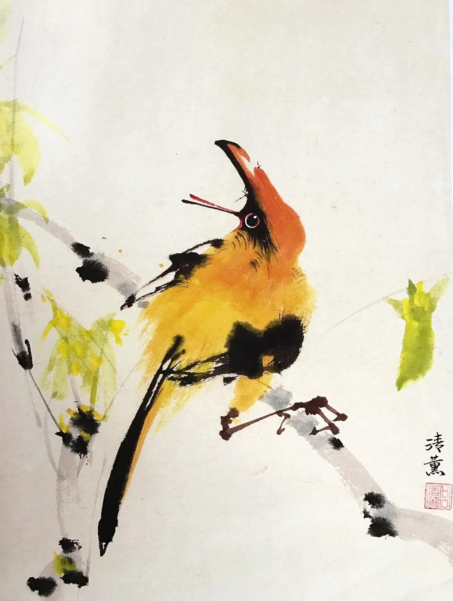 Color Yellow Bird_Clipped.JPG