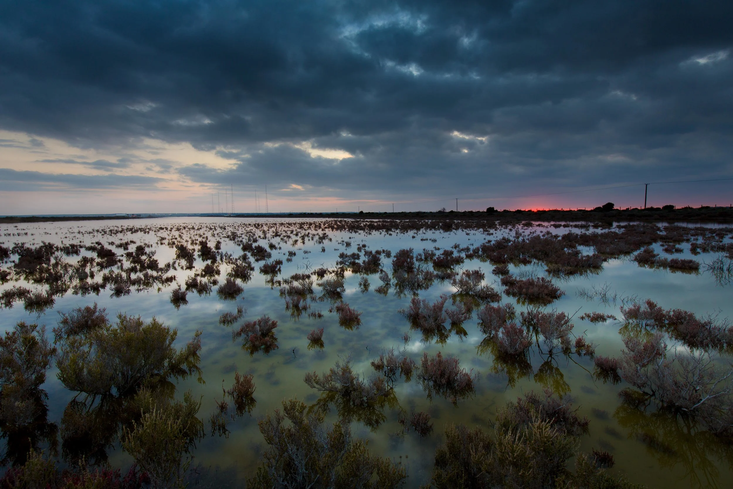8Y6A3309-Edit.jpg