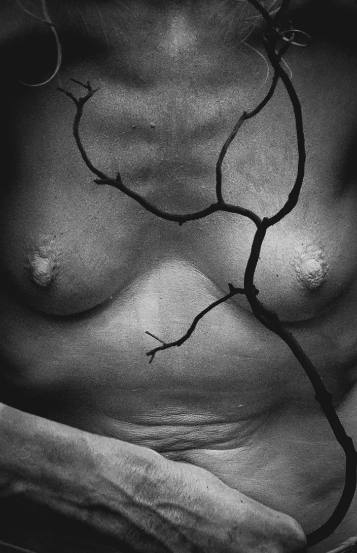 exhib (5).jpg