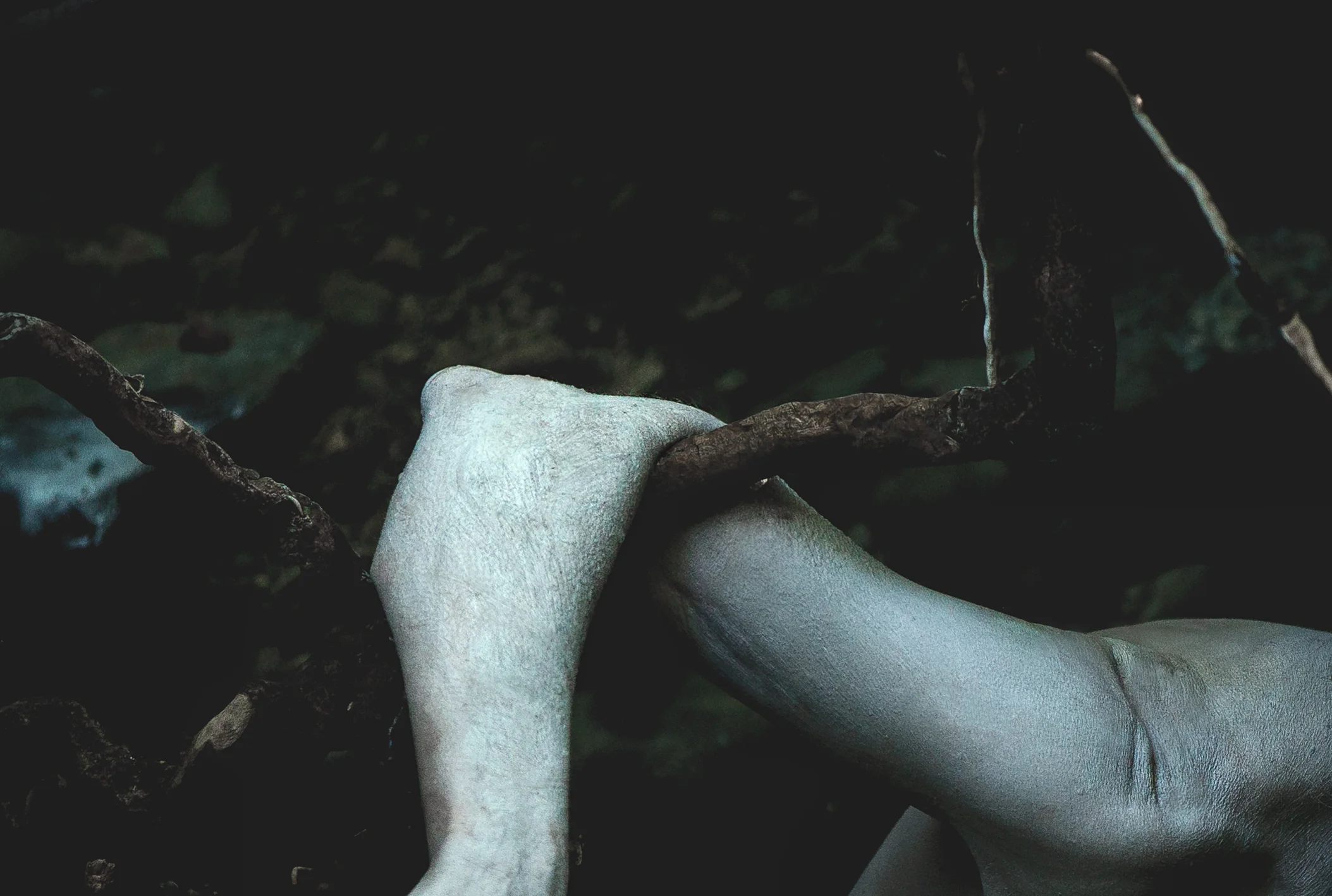 exhib (1).jpg