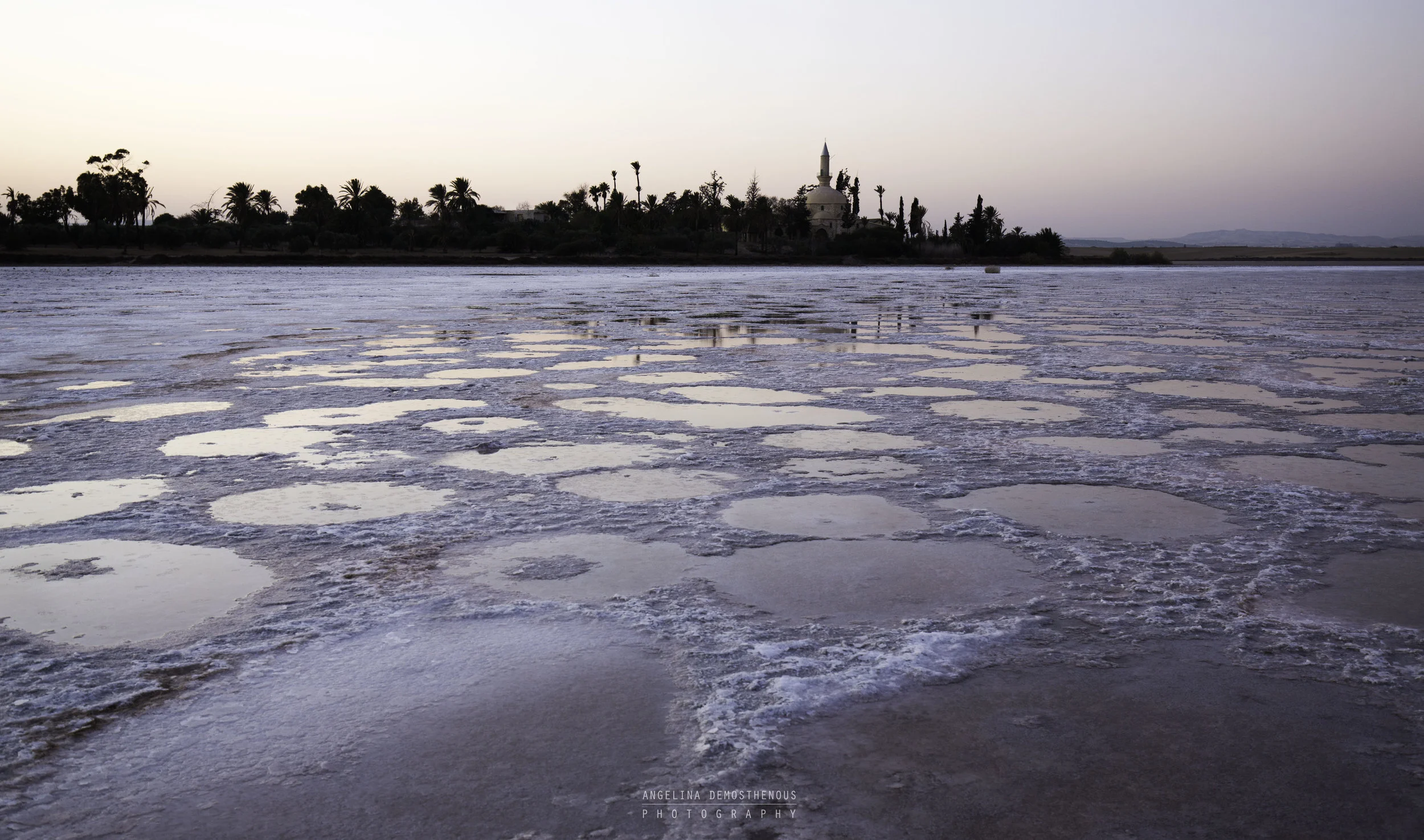 8Y6A2811-Edit.jpg
