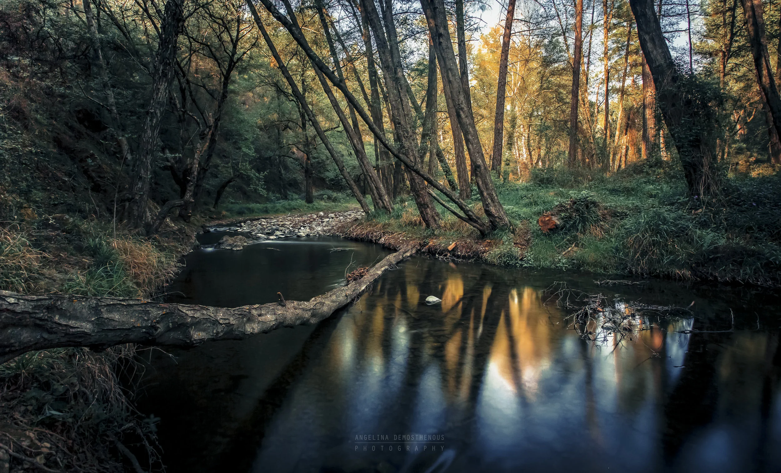 IMG_1533-Edit-Edit-Edit-Edit-Edit.jpg