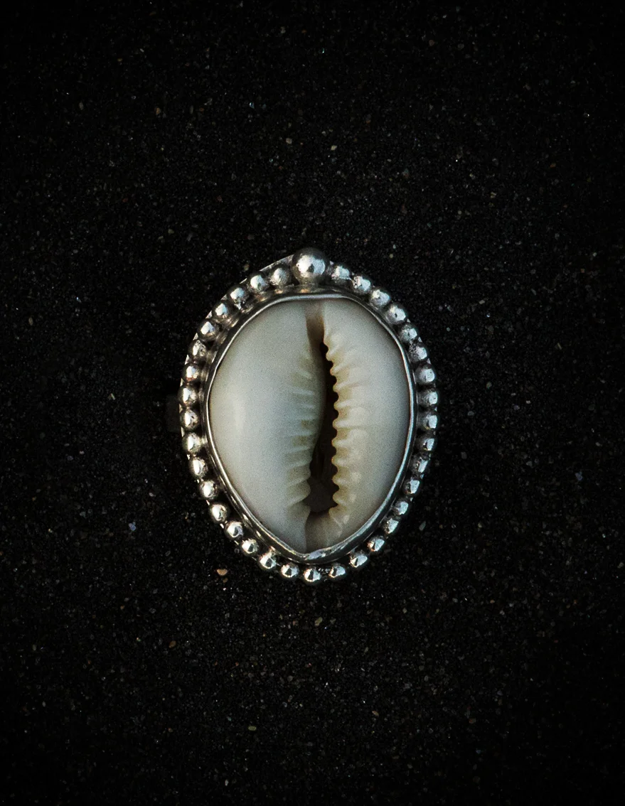 shell_ring.jpg