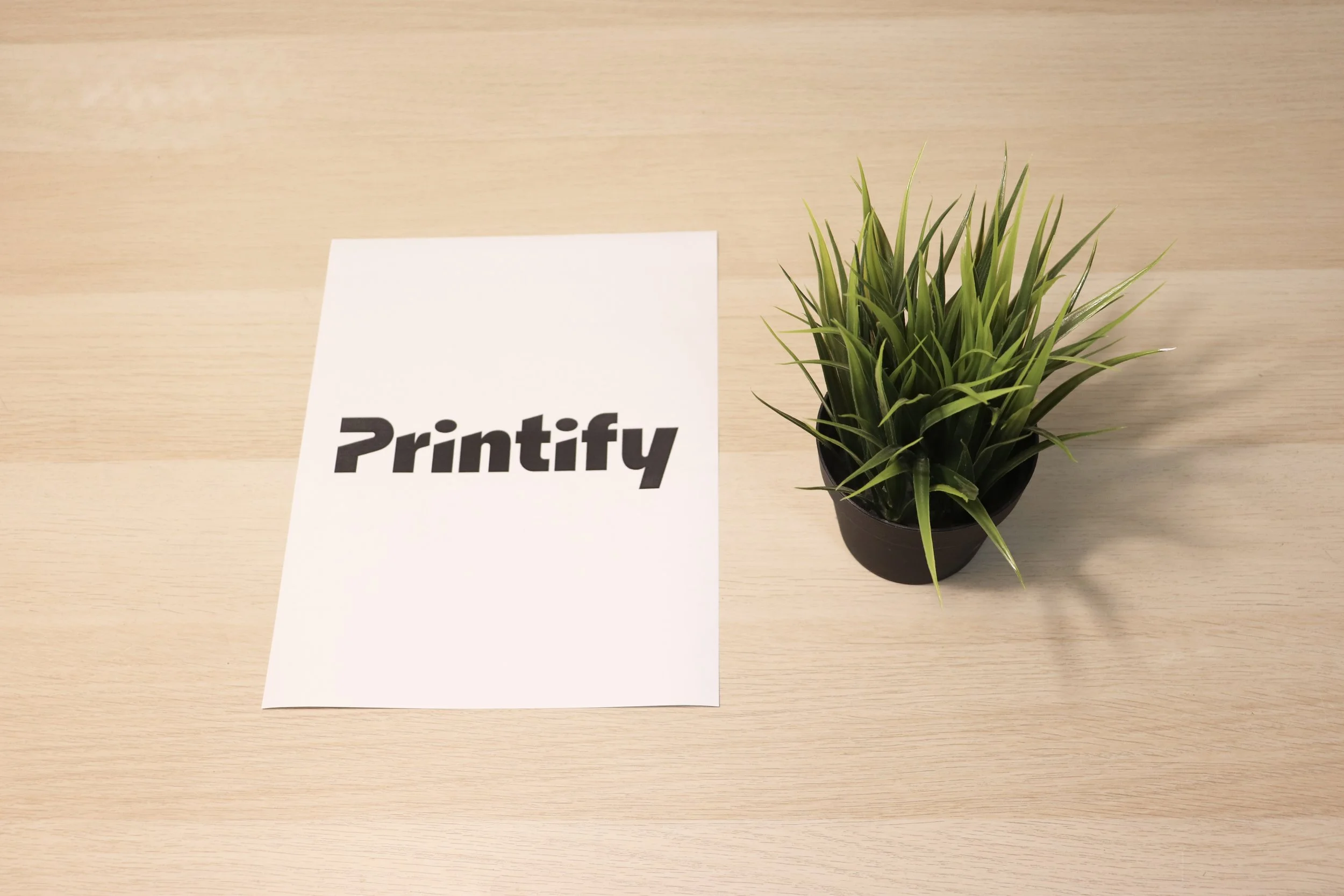 Launch A eCommerce Business