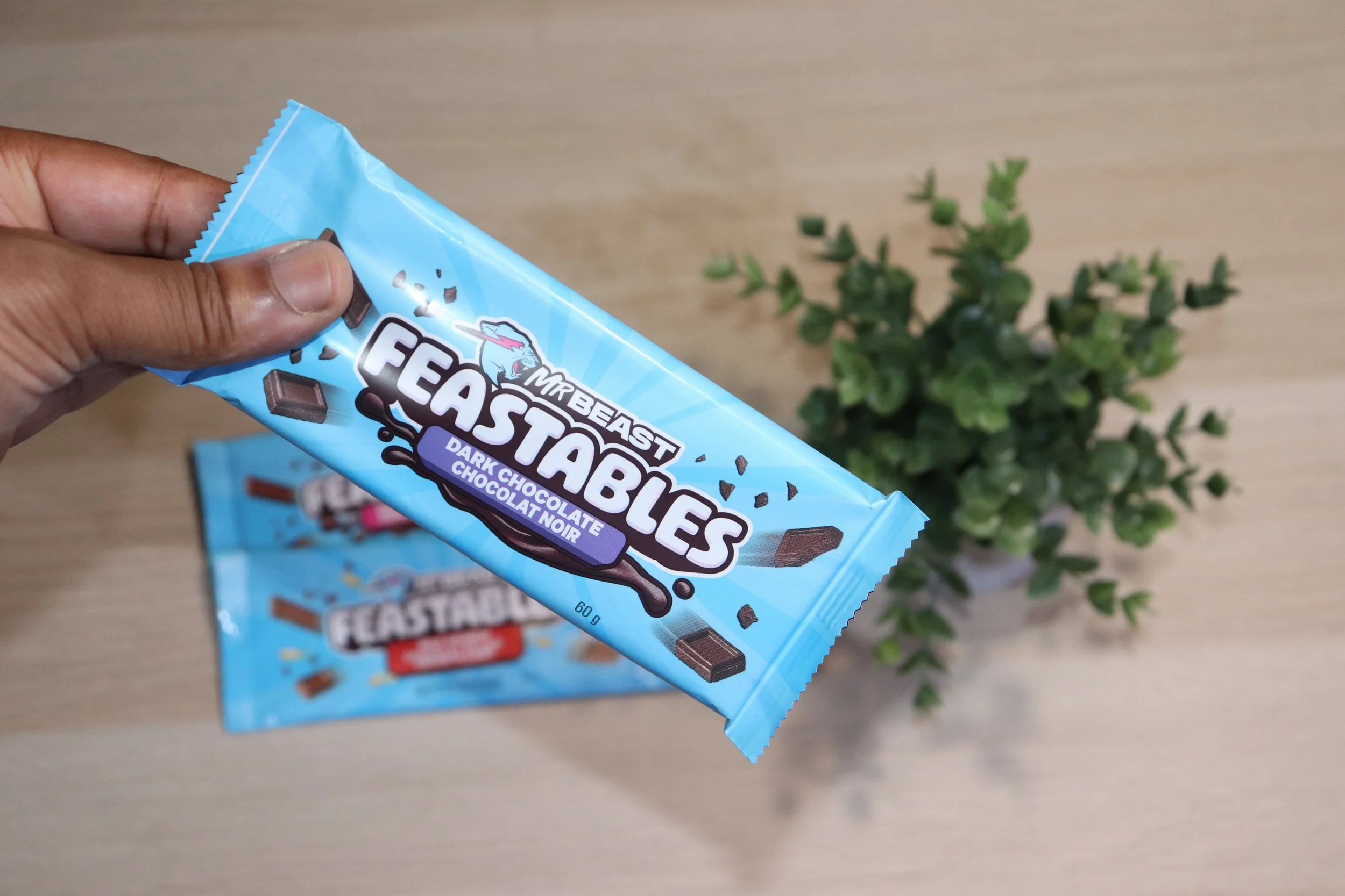 Feastables Chocolate.JPG