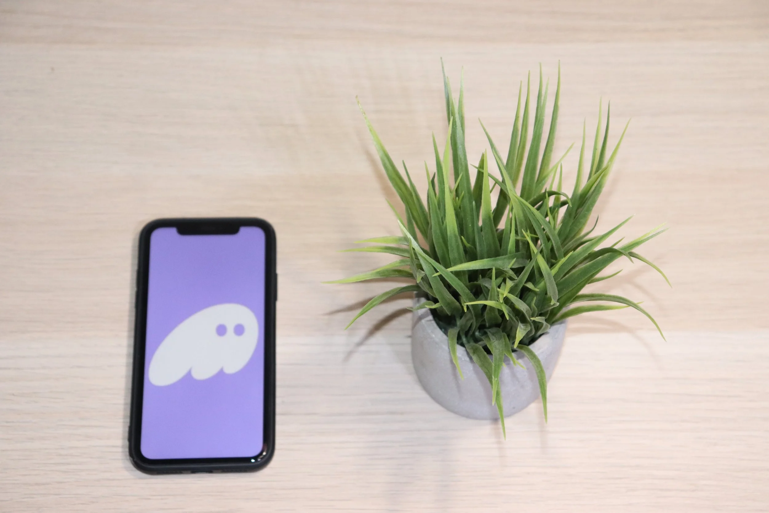 The Friendly Crypto Wallet