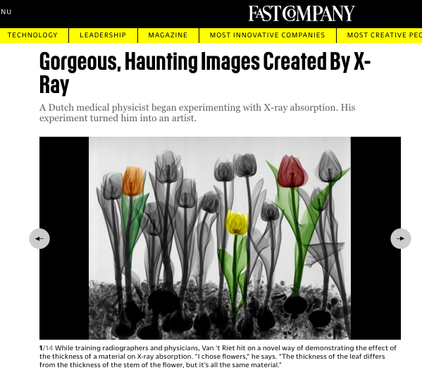 Screen Shot 2017-03-17 at 14.42.17.png