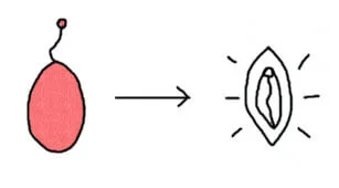 yoni-ei-anleitung-anwendung-beckenbodentraining.jpg