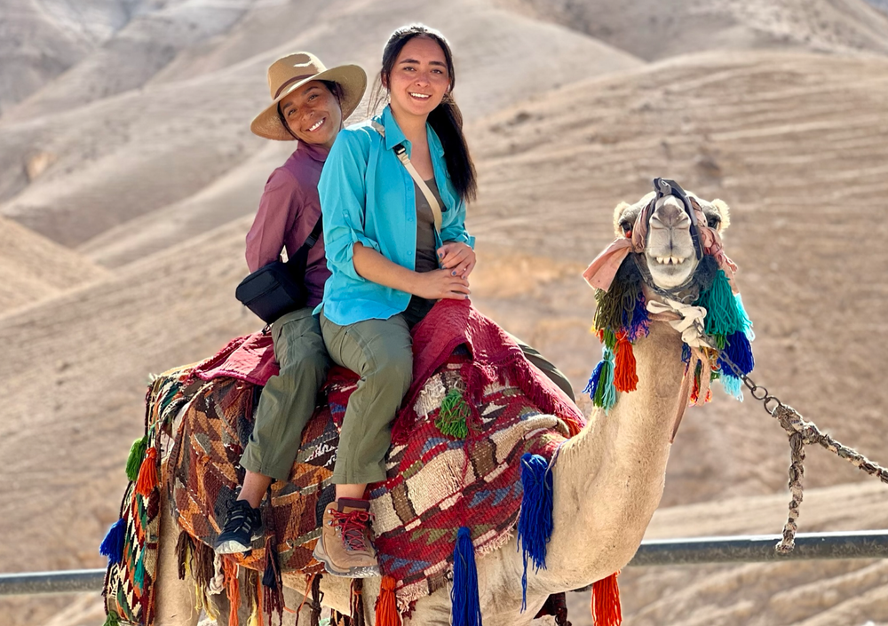 Smiling Camel at Sea Level