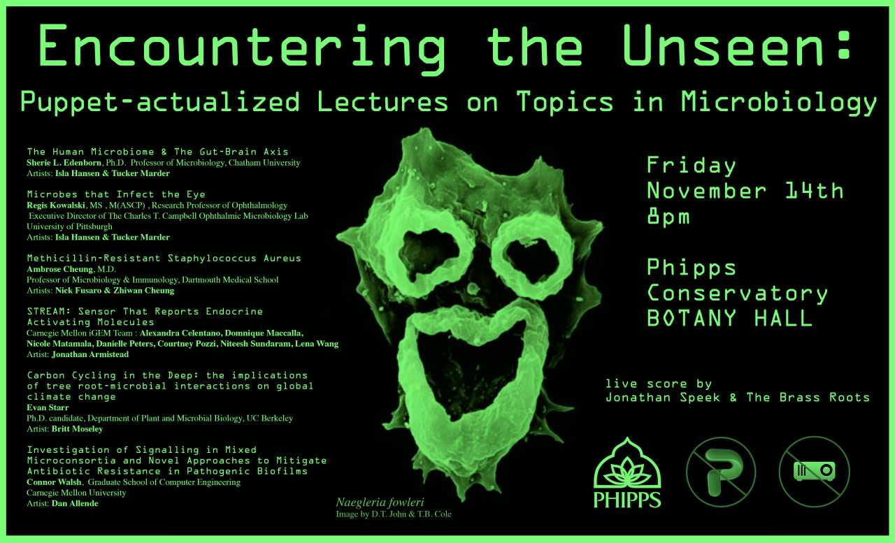 I had the pleasure of providing the visuals for a team of microbiologists at the University of Pittsburgh as a part of Tucker Marder and Isla Hansen’s project: Encountering The Unseen which took place at the Botany Lecture Hall in Phipps Conservatory in Pittsburgh PA. I provided puppet and costume visuals for research on how endocrine disruptors, are mimicking estrogen and causing fish in our ecosystem to be feminized. This gave me an excuse to use tampons, maxi pads, and scissor my tail fins with another feminzed fish, all in the name of science (and art). further images and video here